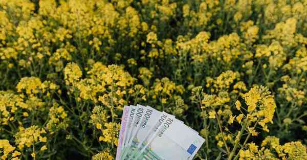 互动体验展厅公司怎么选