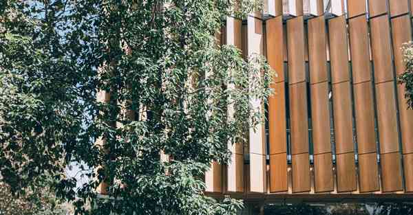 展厅ar互动方案