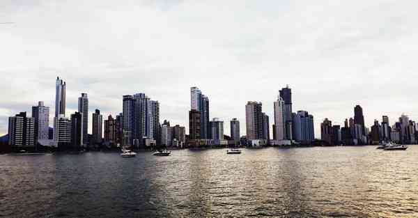 产品召回通知怎么写_产品召回通知书